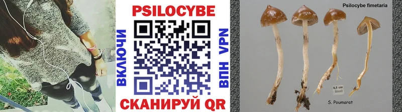 Псилоцибиновые грибы мухоморы  как найти   Шатура 