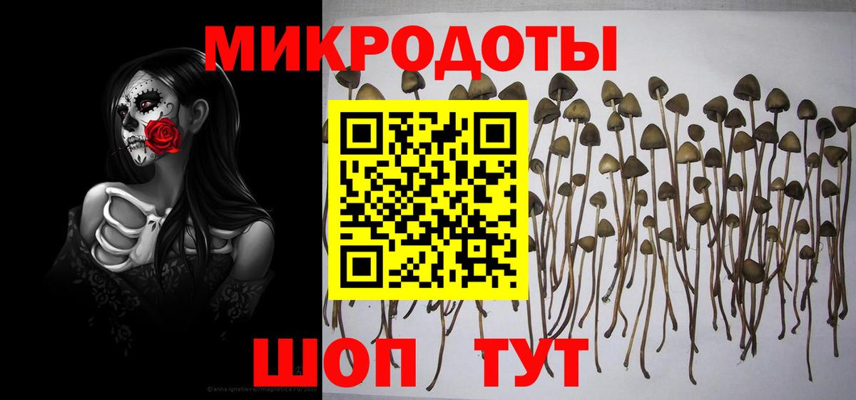 Псилоцибиновые грибы мицелий  купить наркоту  Шатура 